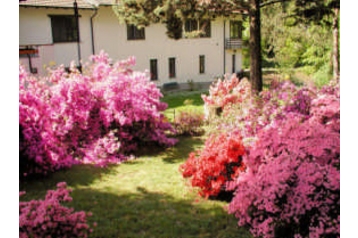 Alojamiento en casa particular Casorate Sempione 1